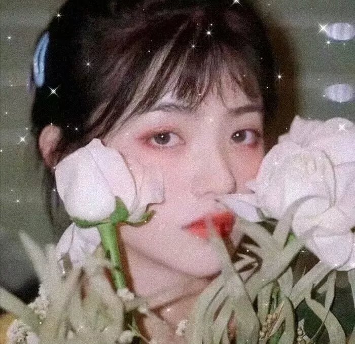 犀牛季节